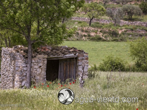 Organya landscape - small house in landing zone