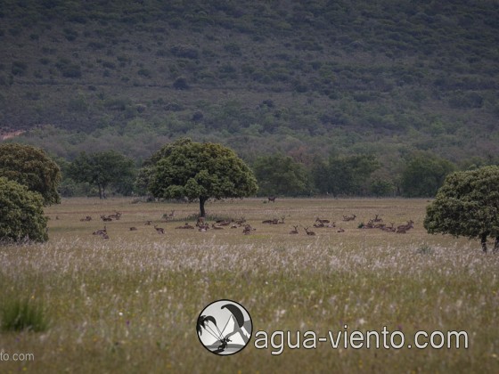 Cabañeros National Park - best and largest protected areas in south of Spain