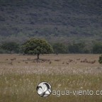 Cabañeros National Park - best and largest protected areas in south of Spain
