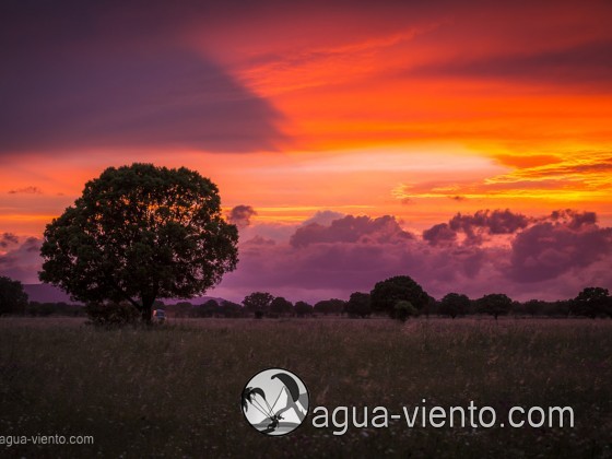 Colorfull sundown in landscape of Cabañeros National Park in Spain